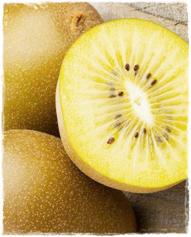 Actinidia deliciosa 'Golden delight' / Kiwi / femelle