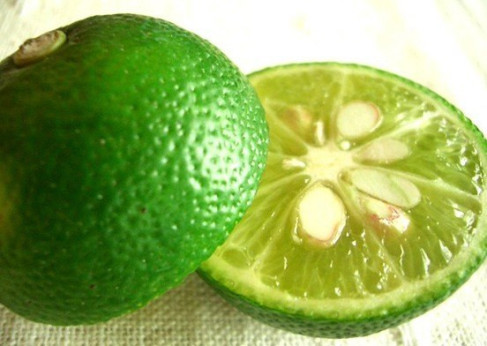 Citrus 'Sudachi' / Citronnier lime Japonais sur C35