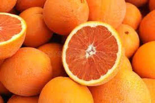 Citrus x sinensis 'Cara Cara' / Oranger