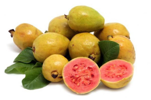 Psidium guajava / Goyavier