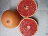 Citrus paradisi 'Rio red' / Pomelo rouge